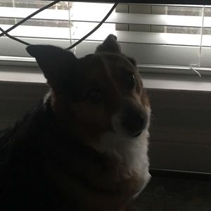 Meet your Posher, Hayden